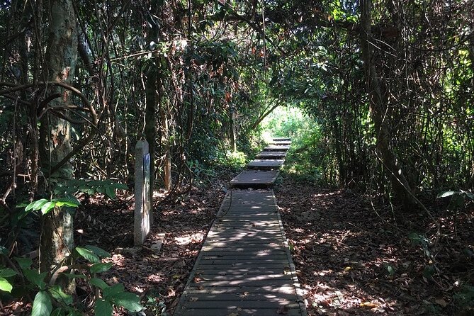 4-Day Jungle Experience in Taman Negara from Kuala Lumpur - From Kuala Lumpur to the forest by coach and boat