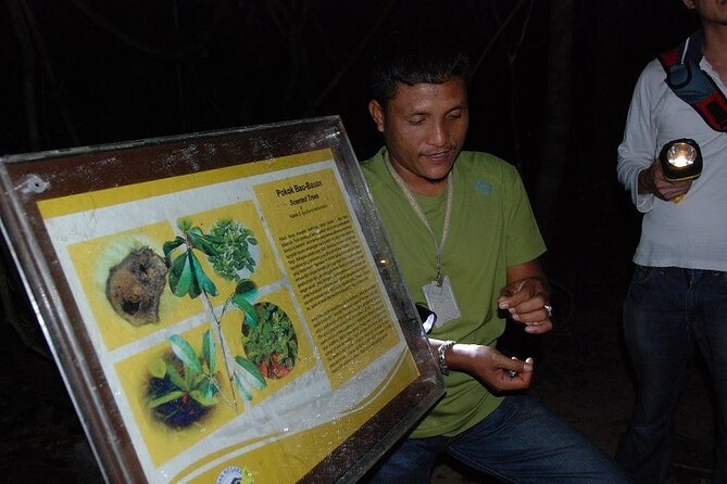 4-Day Jungle Experience in Taman Negara from Kuala Lumpur - Teresek Hill and the view from the trail