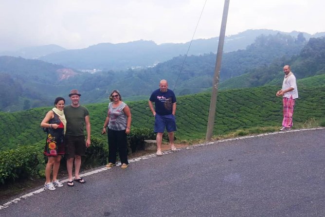 Amazing Cameron Highland Day Tour From Kuala Lumpur - Cameron Lavender: flowers and themed displays