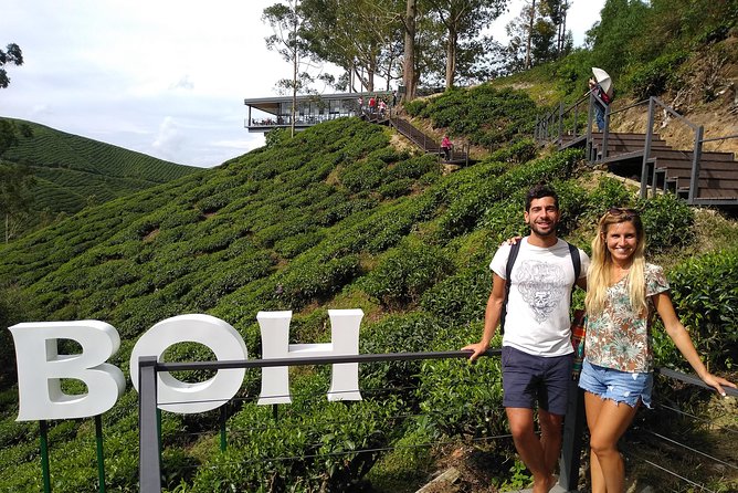 Amazing Cameron Highland Day Tour From Kuala Lumpur - Who should book this Cameron Highlands trip