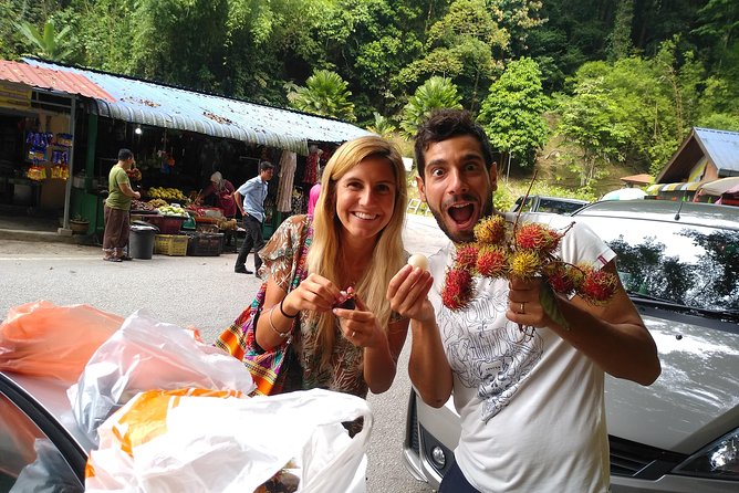Amazing Cameron Highland Day Tour From Kuala Lumpur - Butterfly garden: a paid stop with more than butterflies
