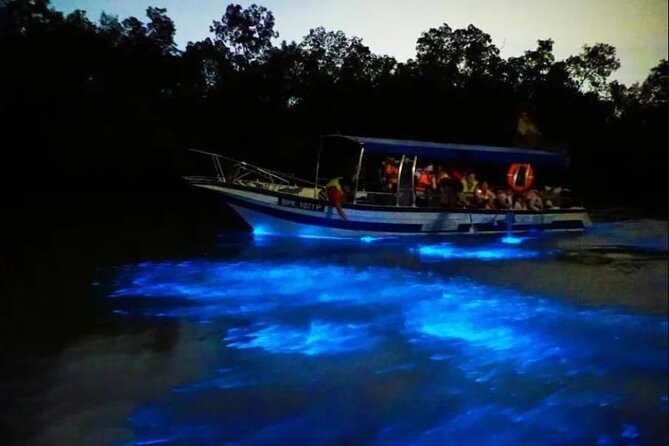 Amazing Fireflies With Blue Tears Watching & Kuala Selangor Tour - Sri Shakti Temple: A Brief First Stop
