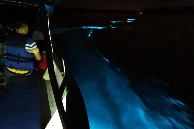 Amazing Fireflies With Blue Tears Watching & Kuala Selangor Tour - Timing, Pickup and Practical Expectations
