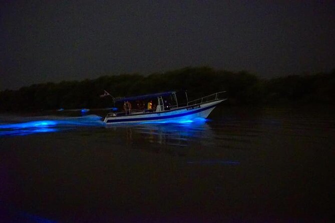 Amazing Fireflies With Blue Tears Watching & Kuala Selangor Tour - Should You Book This Tour?