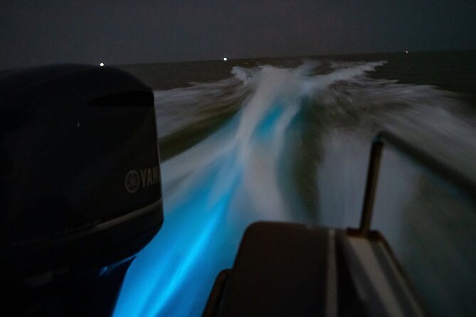 Amazing Fireflies With Blue Tears Watching & Kuala Selangor Tour - Fireflies Along the Selangor River