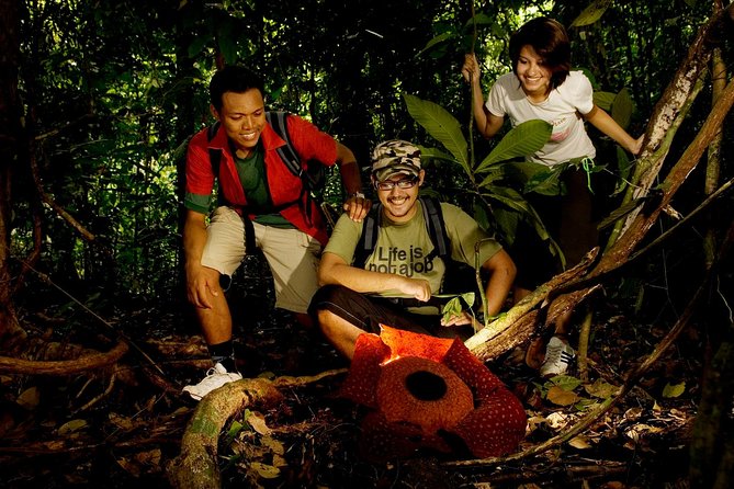 Amazing Taman Negara Day Trip from Kuala Lumpur Including Lunch - The long road from Kuala Lumpur to Taman Negara