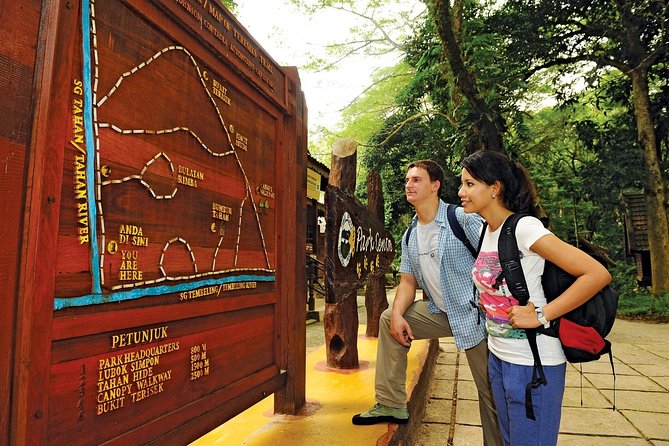 Amazing Taman Negara Day Trip from Kuala Lumpur Including Lunch - Canopy views, if the walkway is open