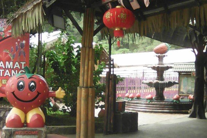 Batu Caves and Genting Highland Tour - A short taste of the strawberry farm