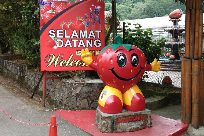 Batu Caves and Genting Highland Tour - Who should book this day out?