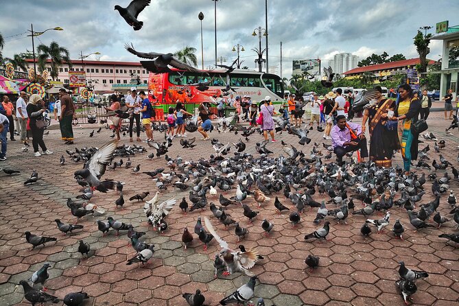 Batu Caves Twilight and Little India Evening Tour - Who should book this Batu Caves evening tour?