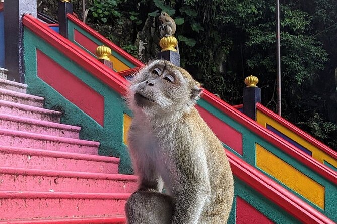 Batu Caves,Waterfalls and Hot Springs Tour With Lunch - Batu Caves: the climb is part of the visit