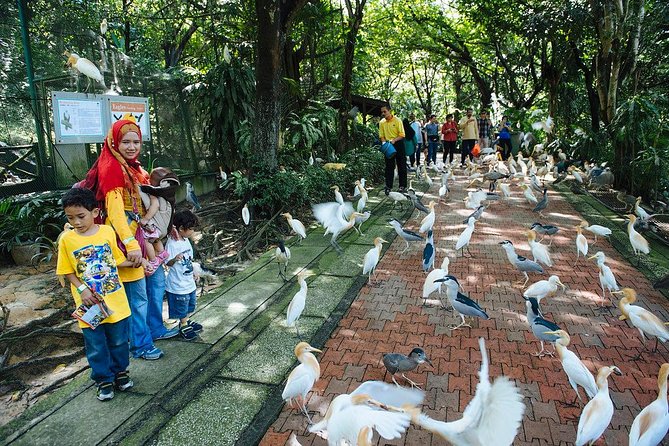 Bird Park & Butterfly Farm Nature Include All Entrance Tour From Kuala Lumpur - Who will enjoy this half-day outing?