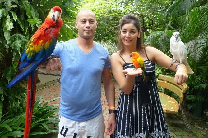 Bird Park & Butterfly Farm Nature Tour From Kuala Lumpur - Third stop: Taman Orkid Kuala Lumpur