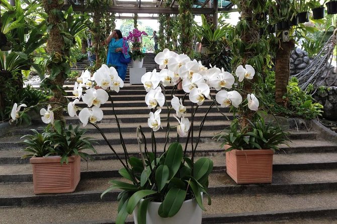 Bird Park & Butterfly Farm Nature Tour From Kuala Lumpur - Booking and cancellation details