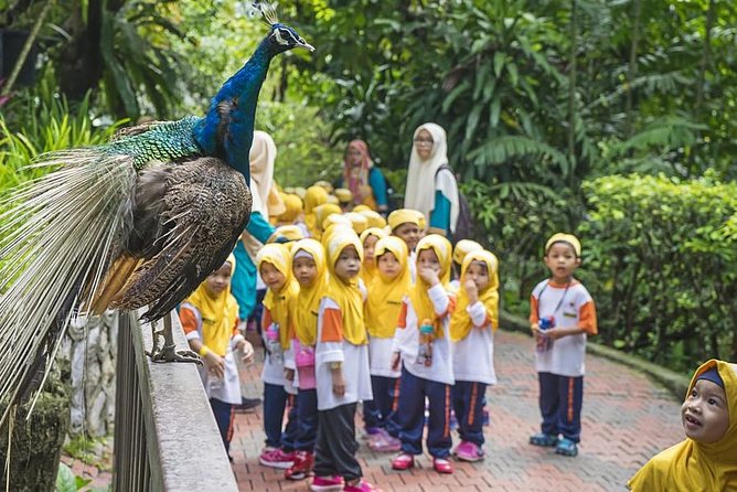 Bird Park & Butterfly Farm Nature Tour From Kuala Lumpur - First stop: Kuala Lumpur Bird Park