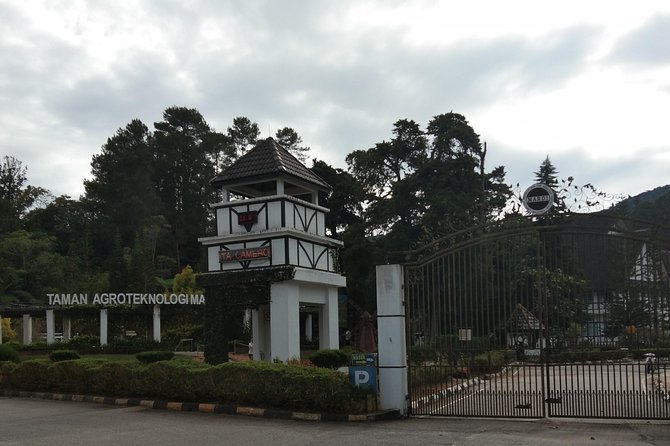 Cameron Highland Day Trip - How the schedule and price add up