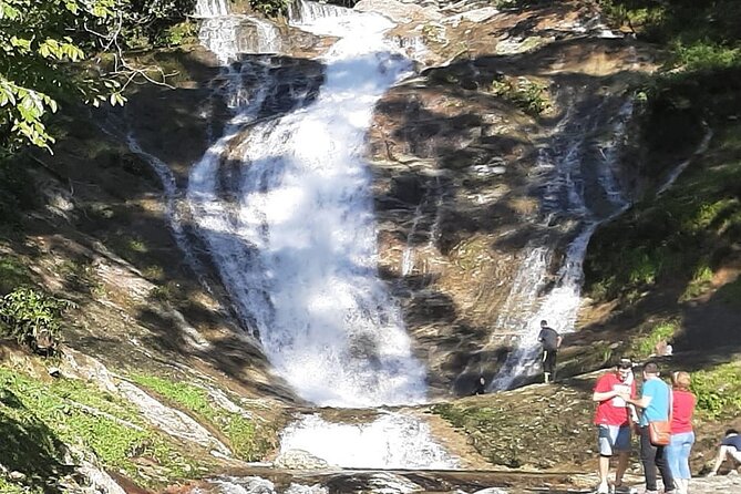 Cameron Highland Full Day Tour from KL City (Private) - Start early, plan for weather and keep your pace flexible