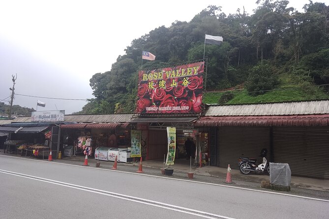 Cameron Highlands Day Trip - Should you book the Cameron Highlands day trip?