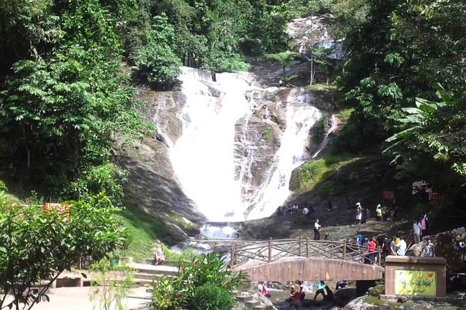 Cameron Highlands Full-Day Nature Tour - Big Red Strawberry Farm: picking is seasonal