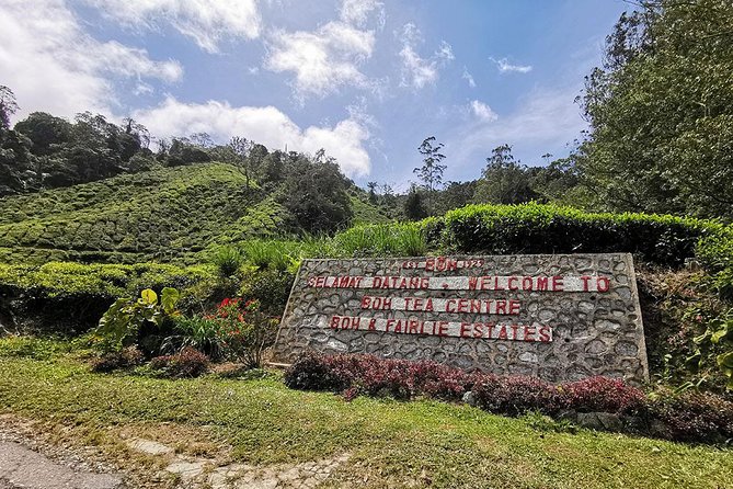Cameron Highlands Full-Day Nature Tour - BOH Tea Plantation: the day’s defining view