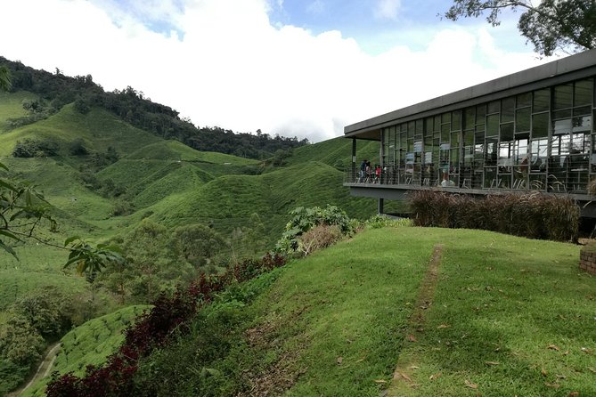 Cameron Highlands, Garden of Nature Full Day Private Guided Tour - The road from Kuala Lumpur to the highlands