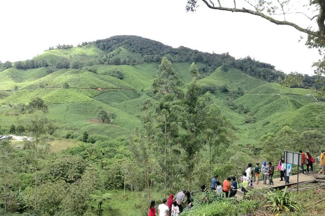 Cameron Highlands, Garden of Nature Full Day Private Guided Tour - Is $166.48 per person good value?