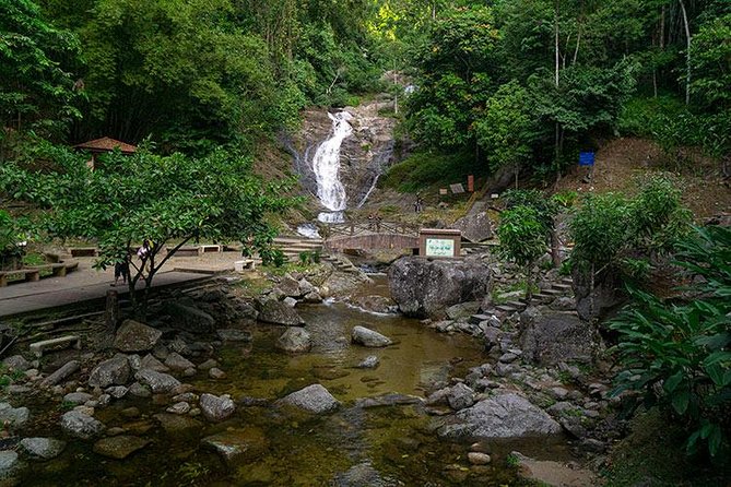 Cameron Highlands One Day Trip from Kuala Lumpur Privately Organised - Bharat Tea Estate and the valley view