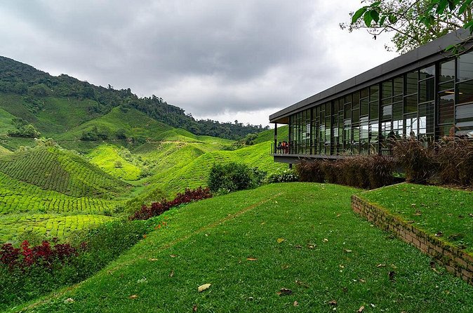 Cameron Highlands One Day Trip from Kuala Lumpur Privately Organised - What the $135 price covers