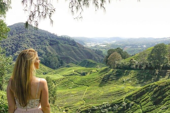 Cameron Highlands Tour from Kuala Lumpur - Who should book this Cameron Highlands tour?