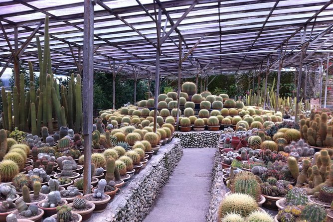 Cameron Highlands Tour From Kuala Lumpur (Private Tour) - Sam Poh Temple and lunch with a view