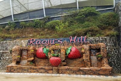 Cameron Highlands Tour From Kuala Lumpur (Private Tour)