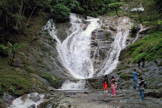 Cameron Highlands Tour on Private Basis - Lunch and the real cost of the day
