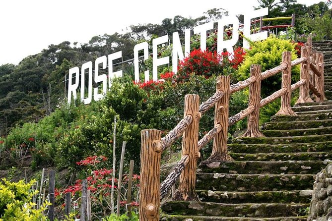 Cameron Highlands Tour on Private Basis - Who will get the most from this tour