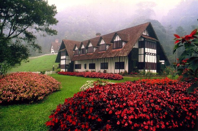 Cameron Highlands Tour on Private Basis - Tea farms, factory visit and highland views