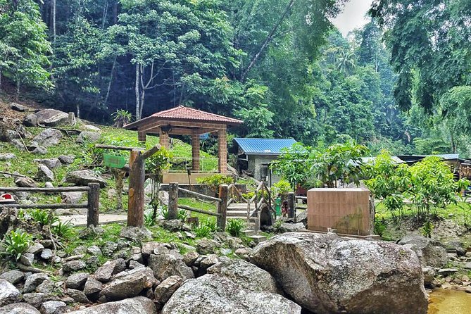 Cameron Highlands with Lunch Guided Day Tour (SIC/Shared Tour) - Should you book this Cameron Highlands day tour?