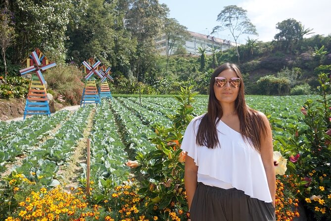 Elevate Your Senses: A Day of Wonders in Cameron Highlands! - Flowers, strawberries and honey