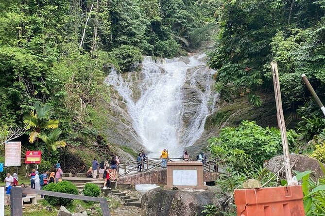 Elevate Your Senses: A Day of Wonders in Cameron Highlands! - A rainforest waterfall on the route