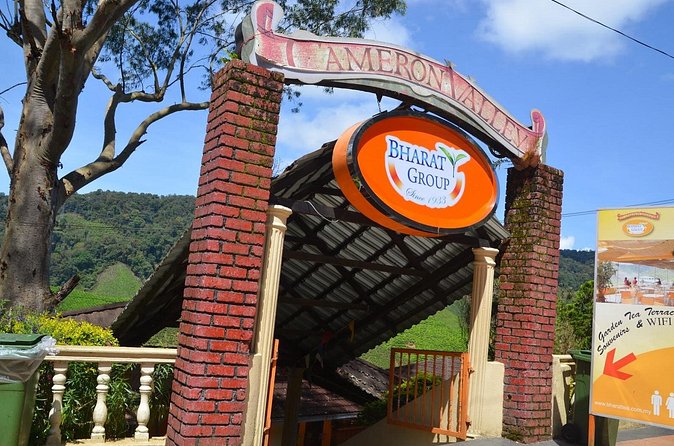 Elevate Your Senses: A Day of Wonders in Cameron Highlands! - Who will get the most from this tour