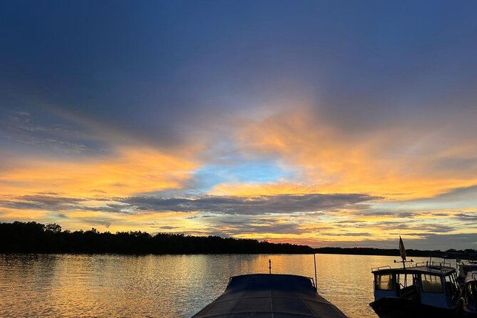 Fireflies & Silver leaf monkey Gazing tour - Fireflies by boat: the evening’s main event