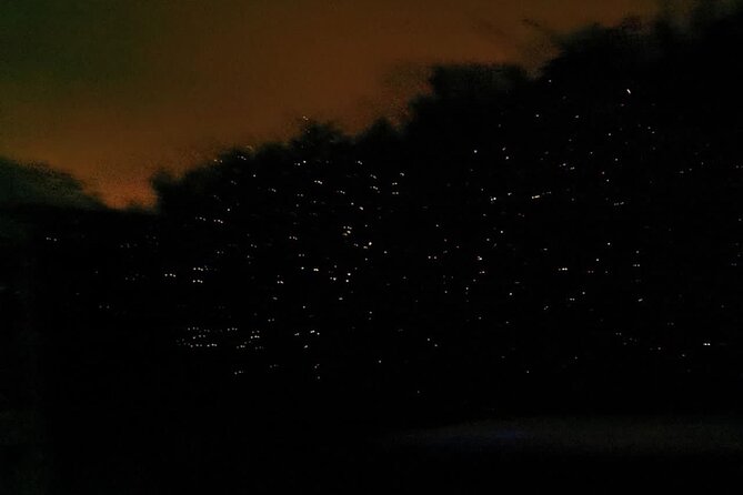 Fireflies & Silver leaf monkey Gazing tour - Optional extras: choose carefully
