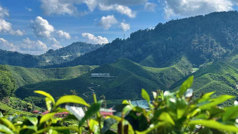 From Kuala Lumpur: Cameron Highlands Day Tour with Lunch - Lata Iskandar Waterfall is a brief last stop