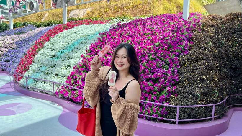 From Kuala Lumpur: Cameron Highlands Day Tour with Lunch - What the $95 price covers
