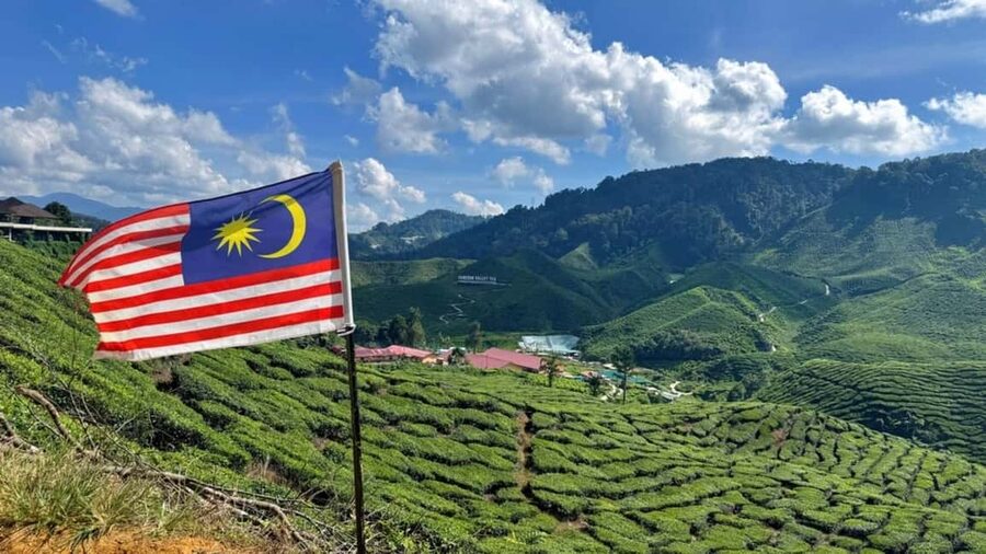 From Kuala Lumpur: Cameron Highlands Day Tour with Lunch - Should you book this Cameron Highlands tour?