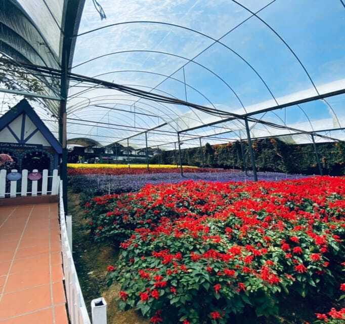 From Kuala Lumpur: Cameron Highlands Day Trip with Transfers - Honey, cacti and the last stops