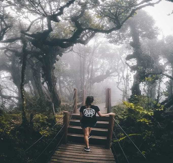 From Kuala Lumpur: Cameron Highlands Day Trip with Transfers - What the $118 price covers