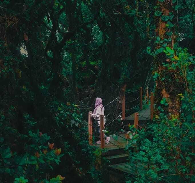 From Kuala Lumpur: Cameron Highlands Day Trip with Transfers - Who should book this Cameron Highlands trip?