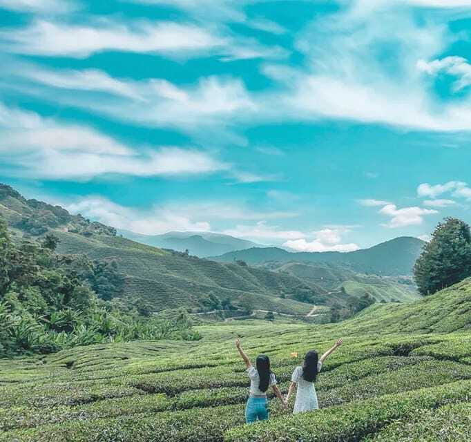 From Kuala Lumpur: Cameron Highlands Day Trip with Transfers - Meeting the Orang Asli