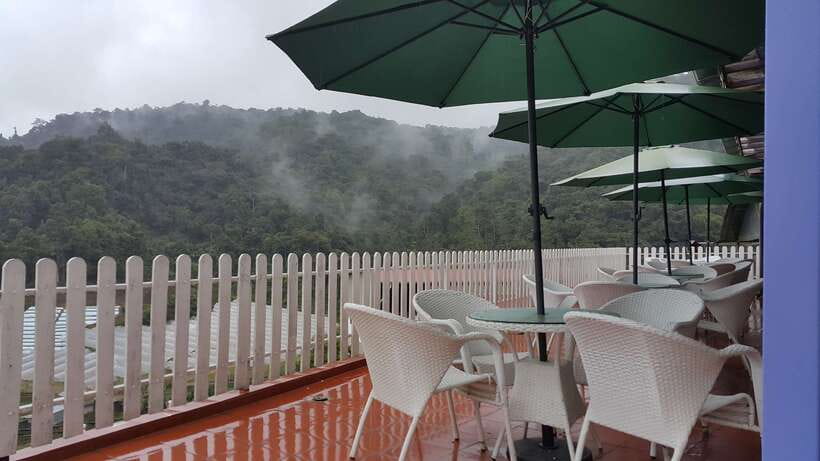 From Kuala Lumpur: Cameron Highlands Full-Day Tour - The Long Drive Through Pahang