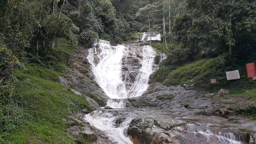 From Kuala Lumpur: Cameron Highlands Full-Day Tour - What $146 Buys, and What It Doesn’t