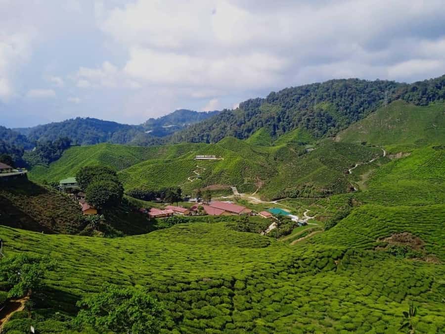 From Kuala Lumpur: Cameron Highlands Private or Join In Tour - A waterfall break on the road uphill